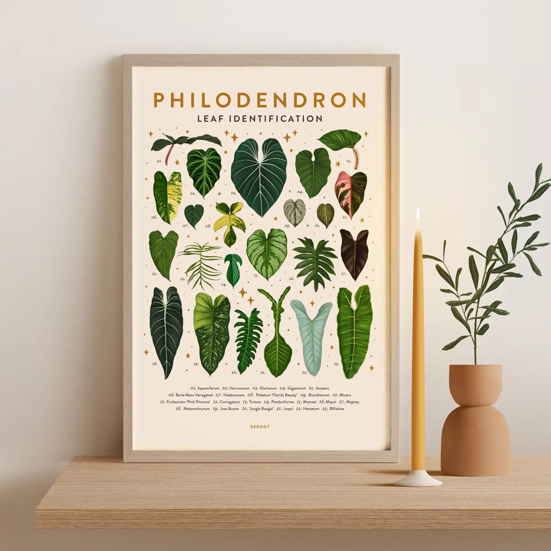 Leaf Identification Posters