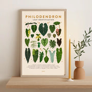 Framed Philodendron Poster 11.5"