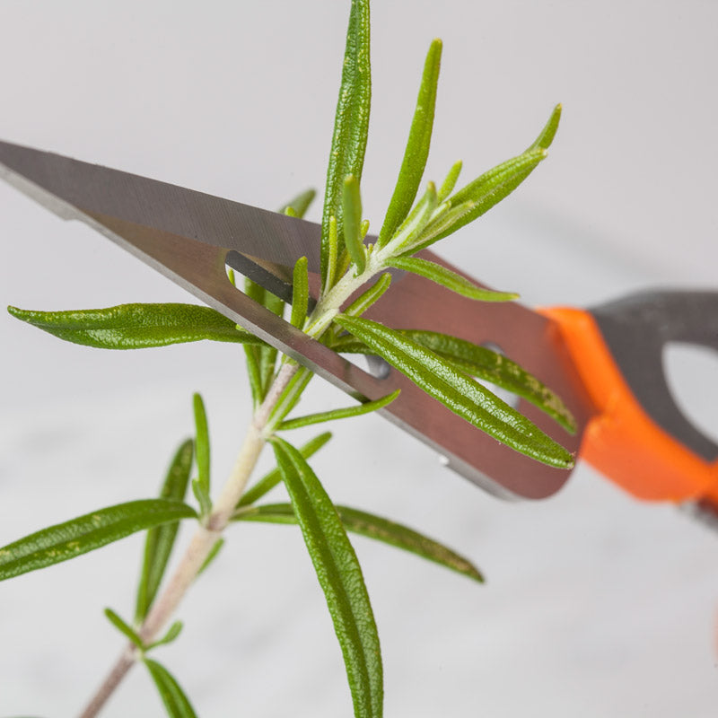 Super Scissors Multi-purpose Shears by Homeportonline