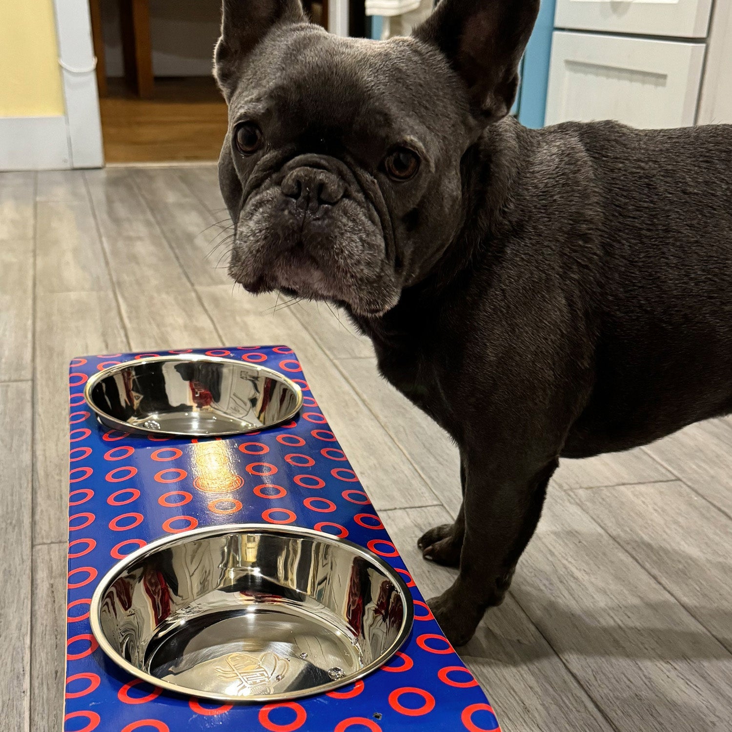 Phunky Donuts - Elevated Skateboard Dog Feeding Stand with 2 Bowls