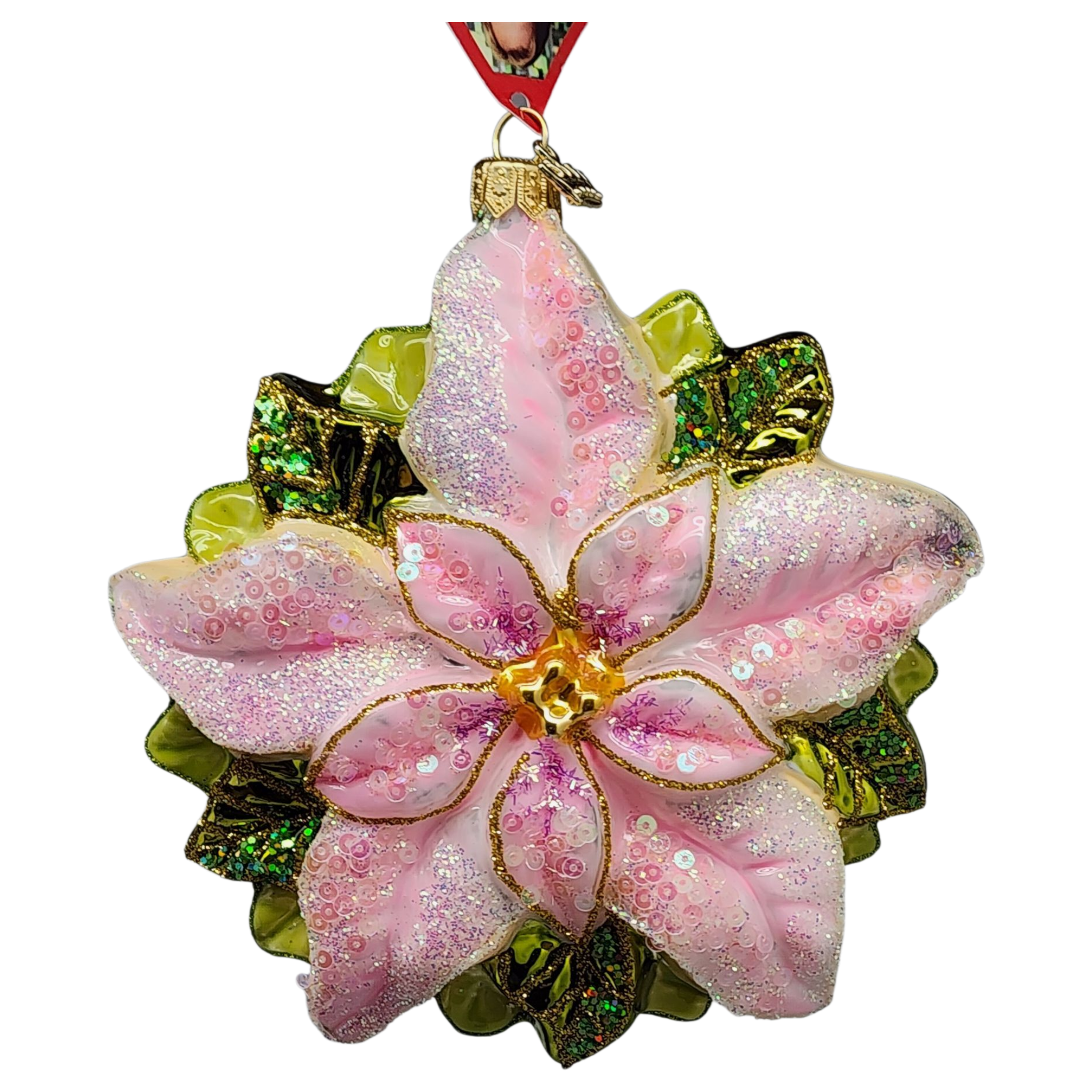 Bright Blossom Poinsettia - Pink