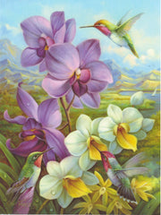 Orchids and Hummingbirds Greeting Card -  Blank Card