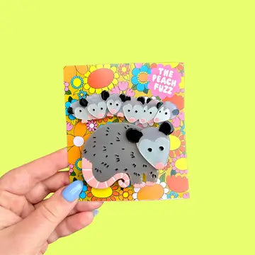 Mix Hair Clip Set