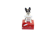Boston Terrier with Bone Ornament
