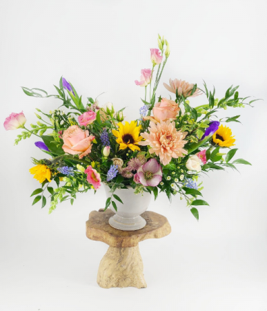 Bright + Cheery Arrangement - Designer's Choice