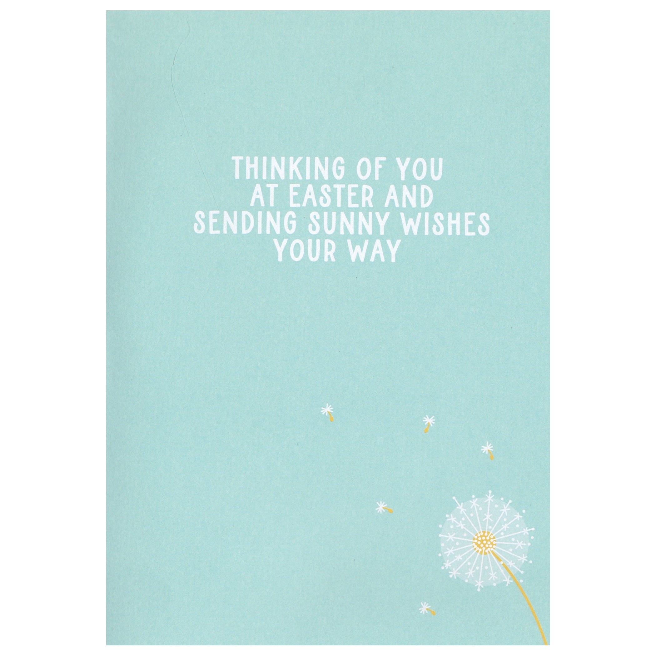 Cotton Tail Bunny and Daisies Easter Card