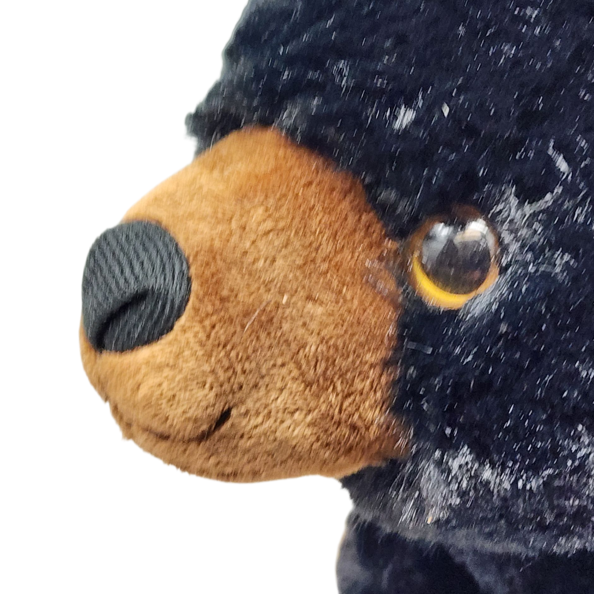 The Petting Zoo Black Bear Stuffed Animal