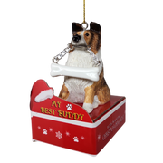 Sheltie with Bone Ornament