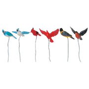 Backyard Birds - Set Of 6