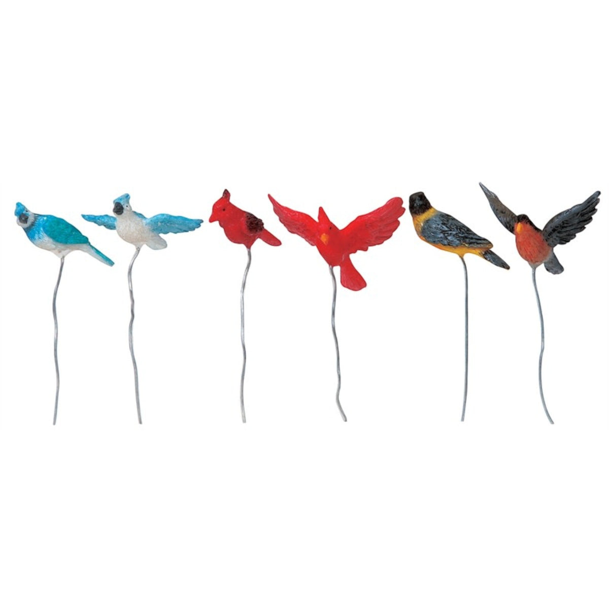 Backyard Birds - Set Of 6