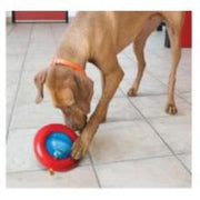 Dog Toy Kong Gyro Brain Teaser Large by Homeportonline