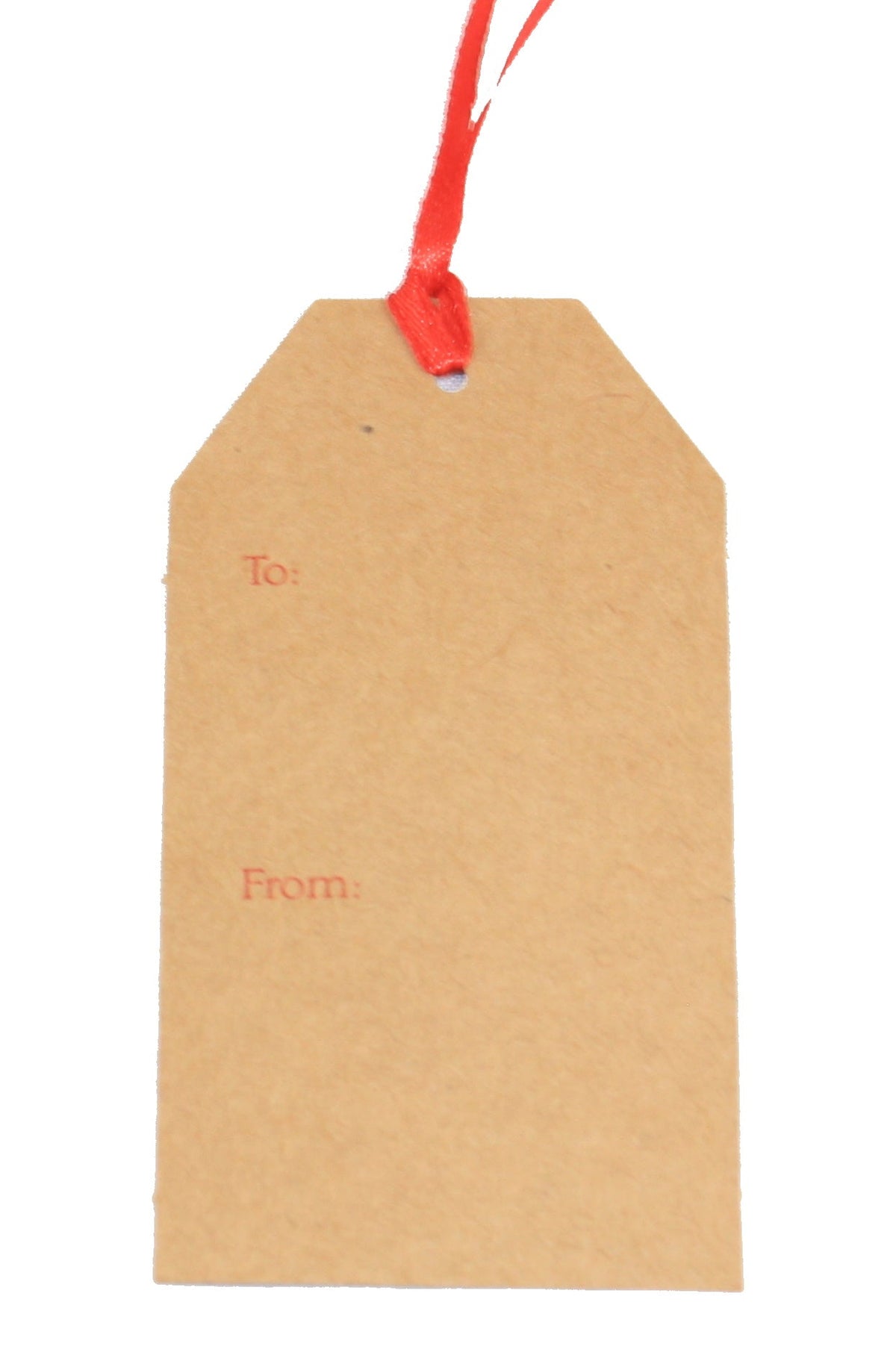 Christmas Luggage Gift Tag - Merry Christmas