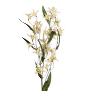 White Jasmine Stem - 29 Inch