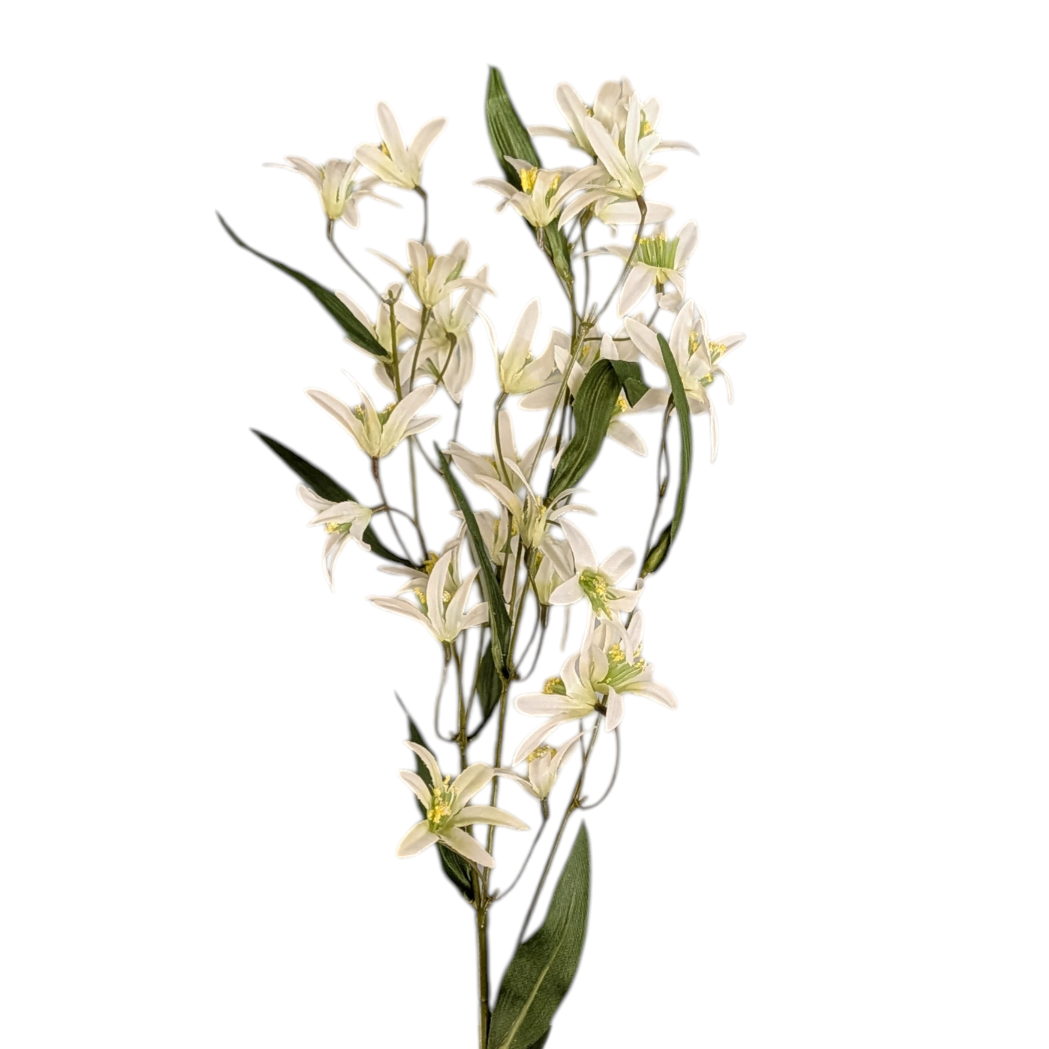 White Jasmine Stem - 29 Inch