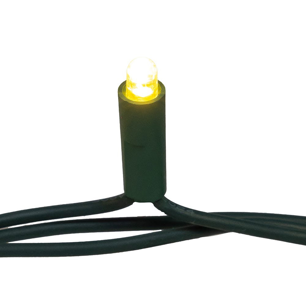 Warm White Convex 50 LED Light Set