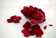 Red Rose Petals - Box