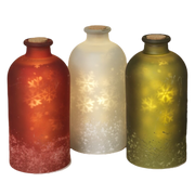 Lighted Snowflake Luminary Bottles -