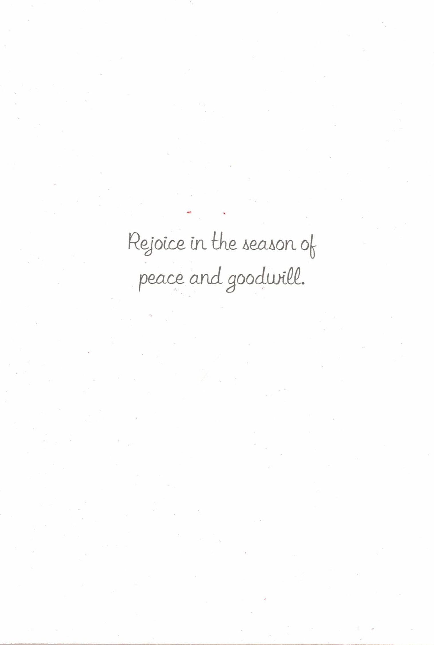 Snowflake Glitter Seasons Greetings Boxed Holiday Cards