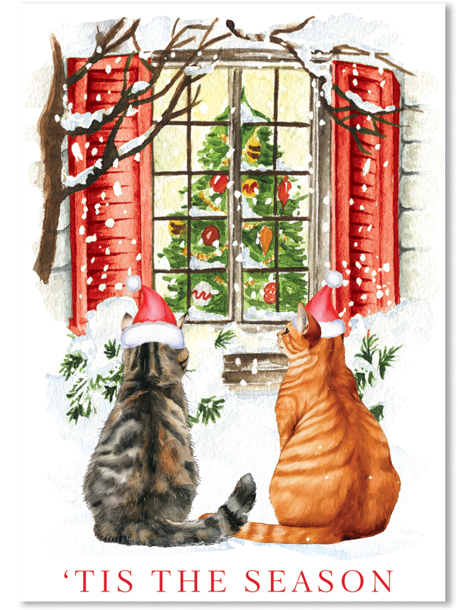 Love of Pets Boxed Cards (Two Cats at Window)