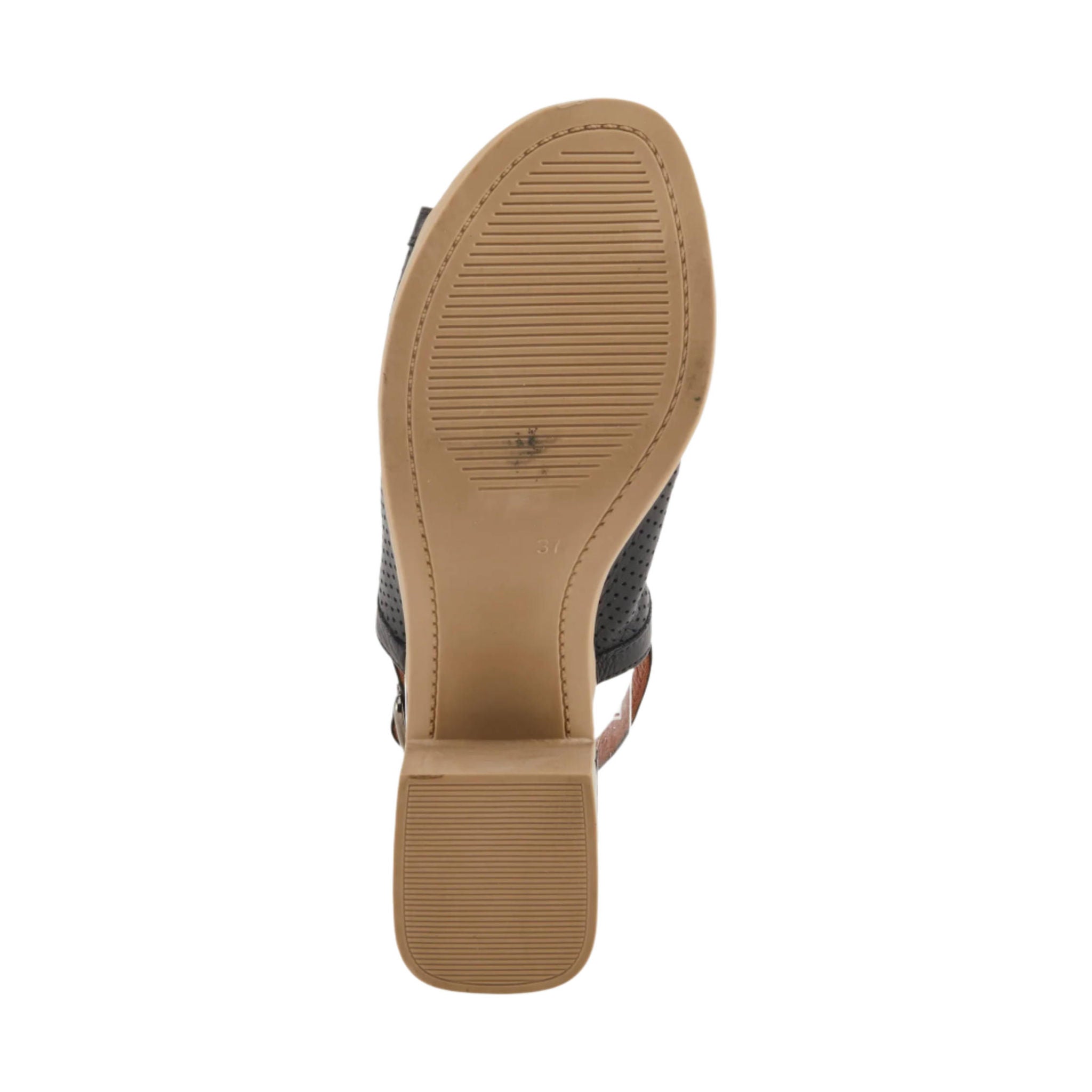 Spring Step Women's Noctium Sandals - Black by Lenny's Shoe & Apparel