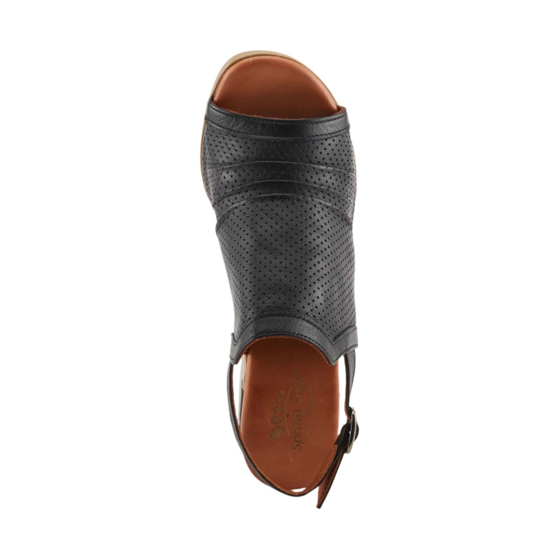 Spring Step Women's Noctium Sandals - Black by Lenny's Shoe & Apparel