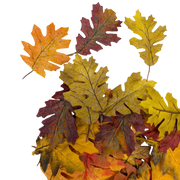 Bag of 36 Faux Harvest Leaves