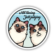Sticker Northwest Not Staring by Lenny's Shoe & Apparel