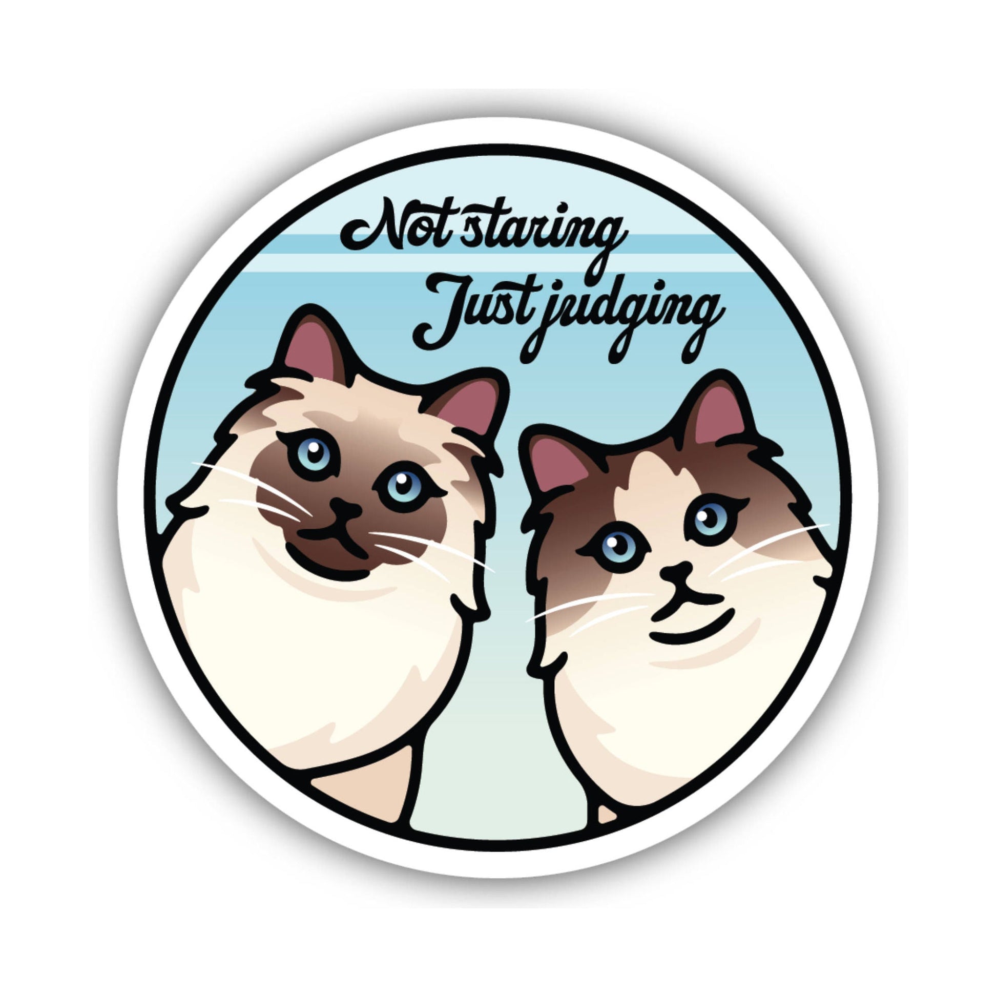 Sticker Northwest Not Staring by Lenny's Shoe & Apparel