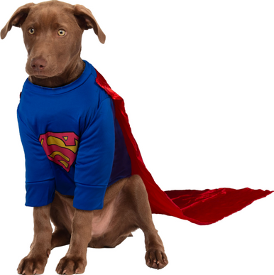 Ruby Slippers Superman Pet Costume Small