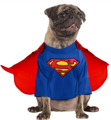 Ruby Slippers Superman Pet Costume Large