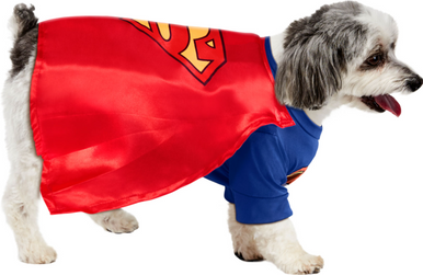 Ruby Slippers Superman Pet Costume Large