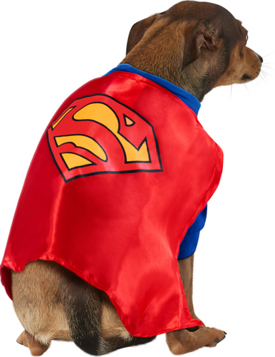 Ruby Slippers Superman Pet Costume Large
