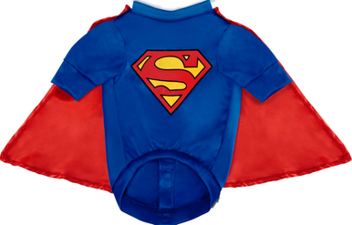 Ruby Slippers Superman Pet Costume Large