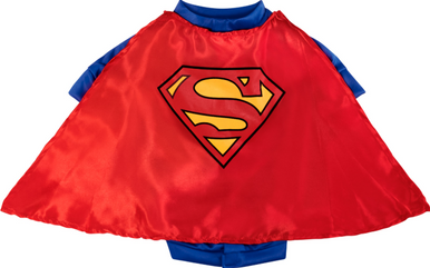 Ruby Slippers Superman Pet Costume Large