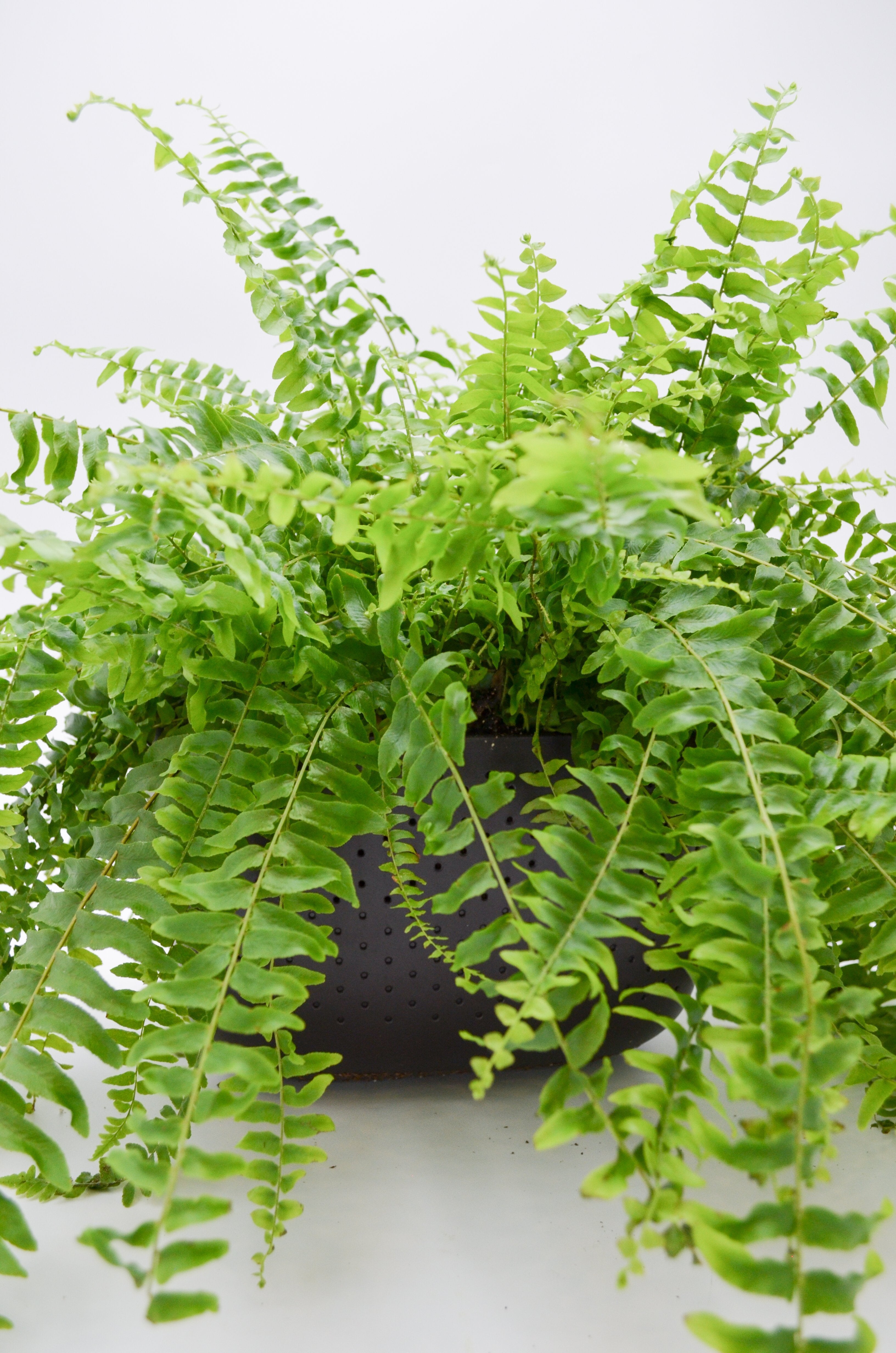 Sale! WallyGro Eco Planters (9 Colors Available)