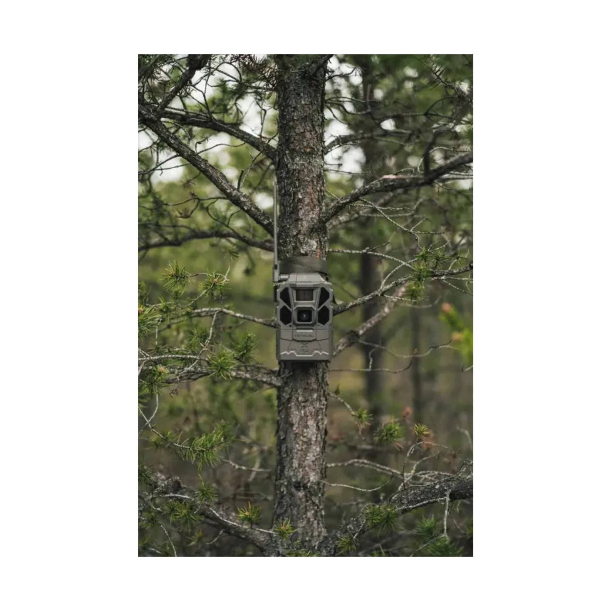 Tactacam Reveal X Gen 3 - Grey by Lenny's Shoe & Apparel