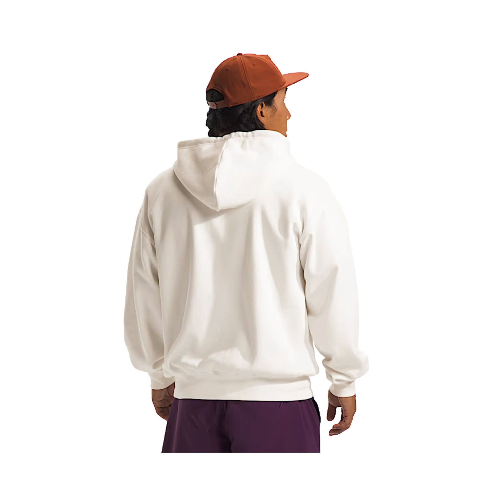 The North Face Men's Evolution Vintage Hoodie - White Dune by Lenny's Shoe & Apparel