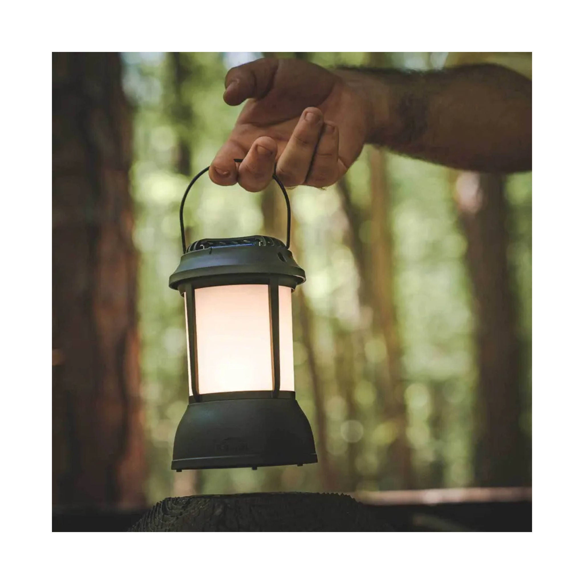 Thermacell Patio Shield Mosquito Repeller Lantern - Black by Lenny's Shoe & Apparel