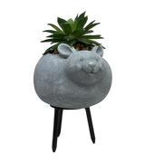 Faux Green Succulent In Planter - Mouse