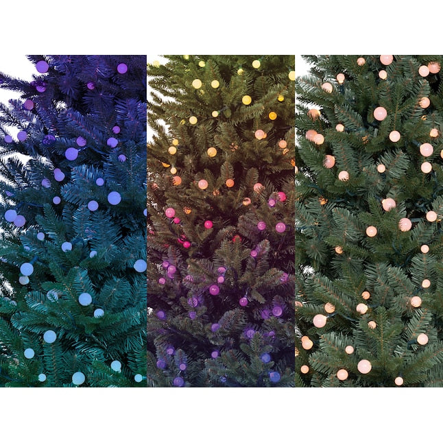 Hamilton Fir Christmas Tree with Color Changing LED Lights - 7.5 Foot