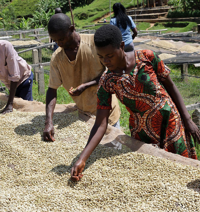 Burundi Incuti