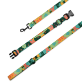 Wild Lark Pet Collar & Leash