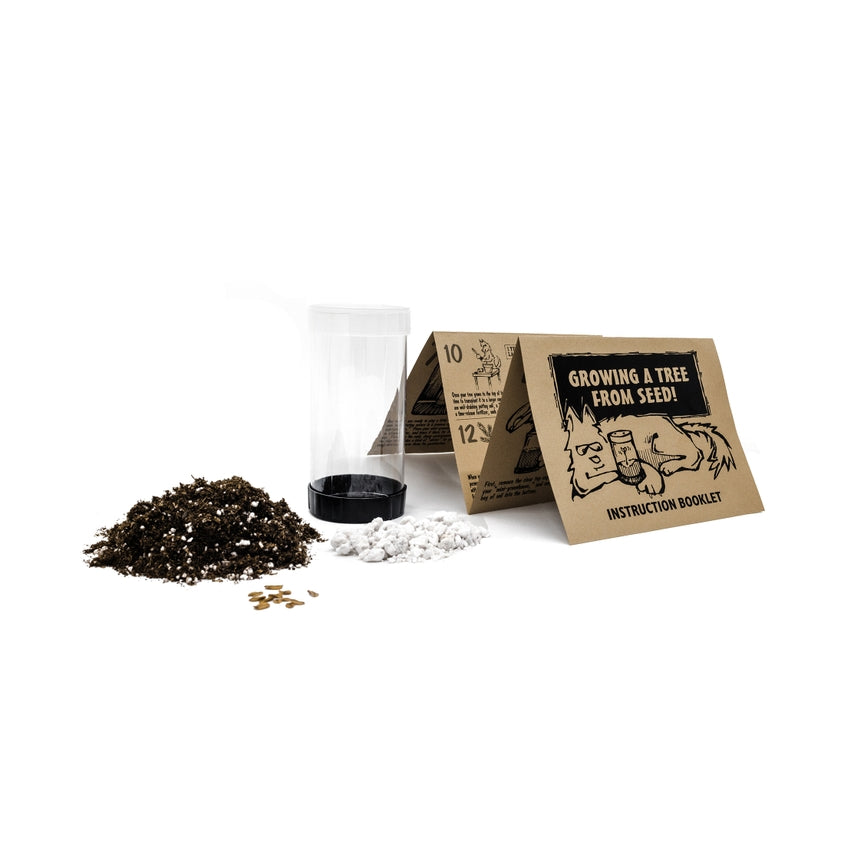 Giant Sequoia  Seed Grow Kit