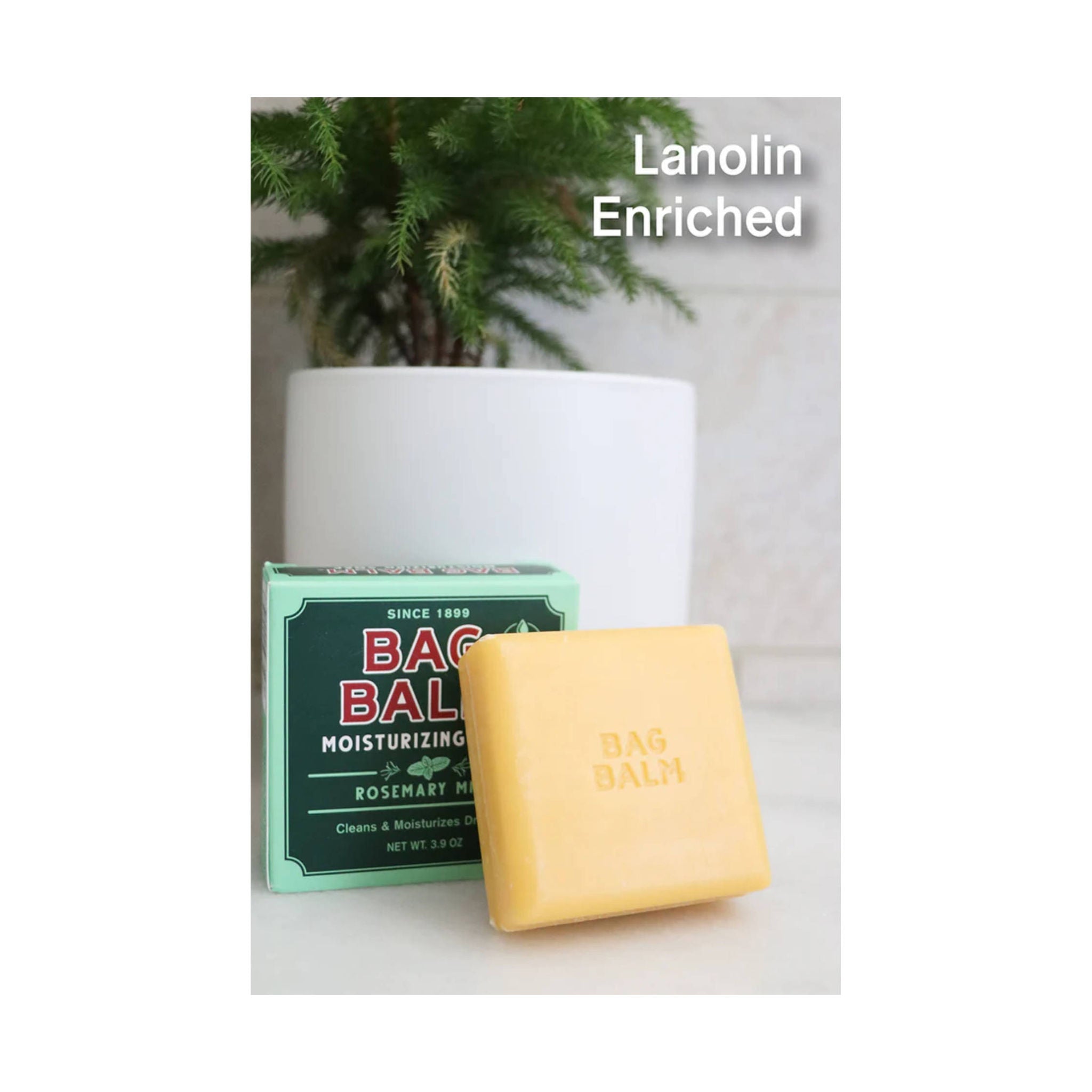 Vermont's Original Bag Balm 3.9 oz Mega Moisturizing Soap by Lenny's Shoe & Apparel