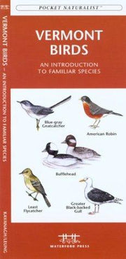 Vermont Birds