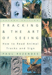 Tracking & the art of seeing