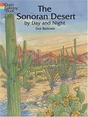 The Sonoran Desert by day and night