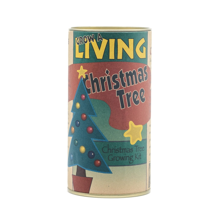 Living Christmas Tree  Seed Grow Kit