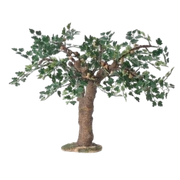 12 inch Fig Tree for Nativity Scenes - 5 Inch Scale