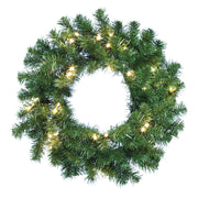 24 Inch Douglas Fir Wreath with 30 Clear Lights